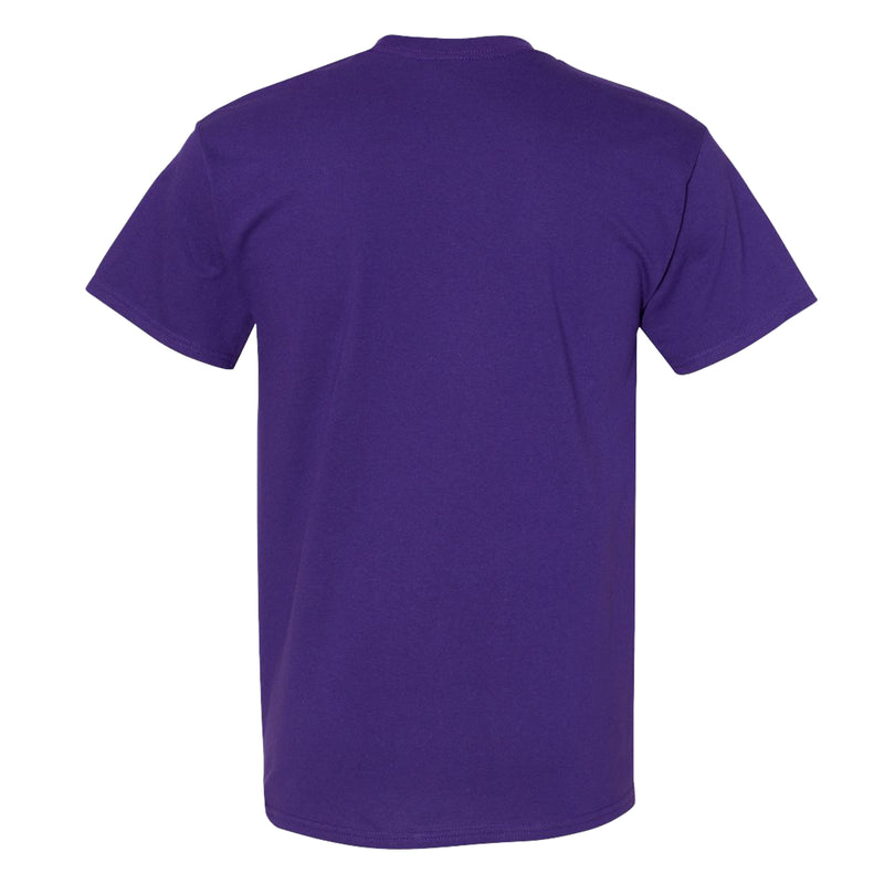 Furman University Paladins Basketball Hype T Shirt - Purple