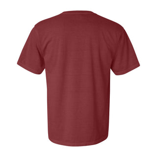 Minnesota Local Comfort Colors T-Shirt - Brick