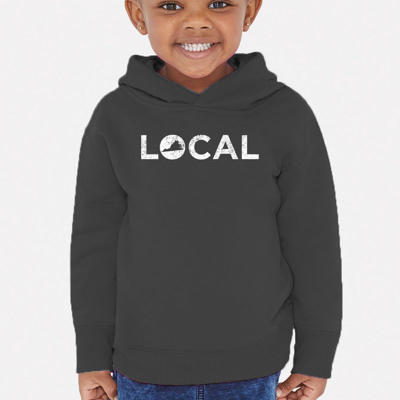 Virginia LOCAL Toddler Hoodie - Vintage Smoke