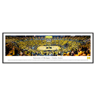 Michigan Wolverines Basketball Panorama