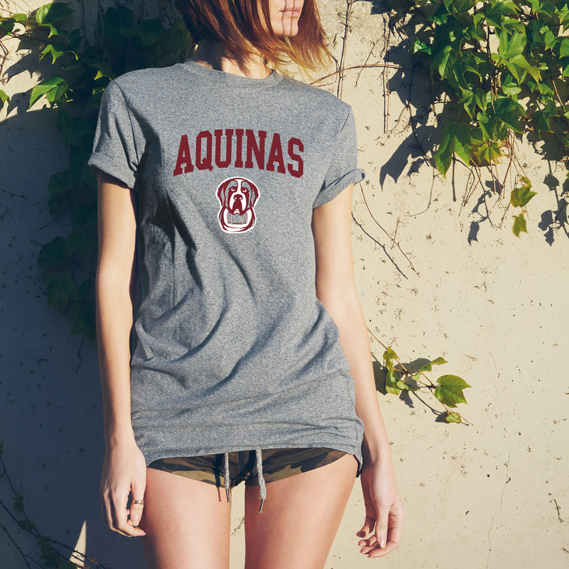 Aquinas College Saints Arch Logo Basic Cotton Short Sleeve T Shirt - Sport Grey