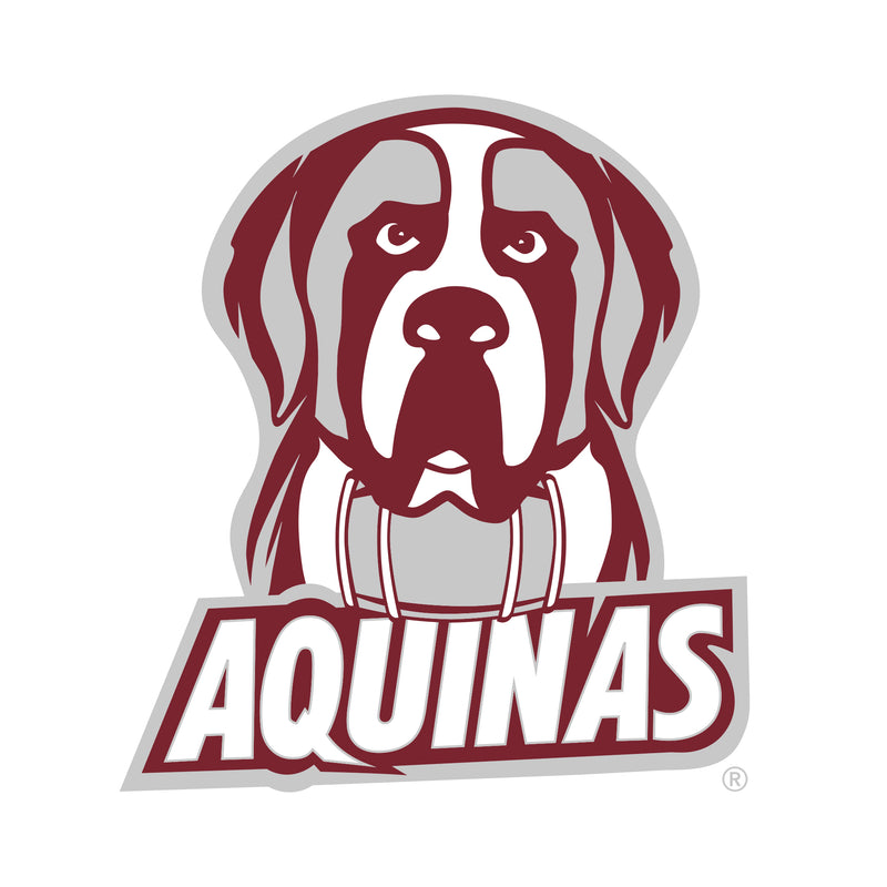 Aquinas College Saints Primary Logo Youth Short Sleeve T Shirt - White