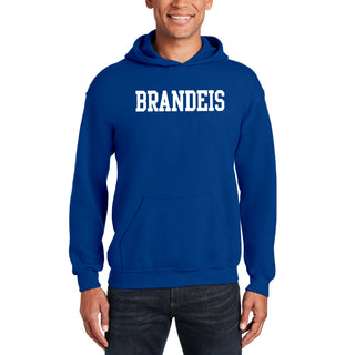 Brandeis University Judges Basic Block Hoodie - Royal