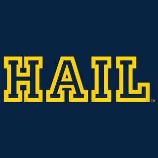 Hail Outline University of Michigan Bella Sponge Fleece Crewneck Sweatshirt - Navy Triblend