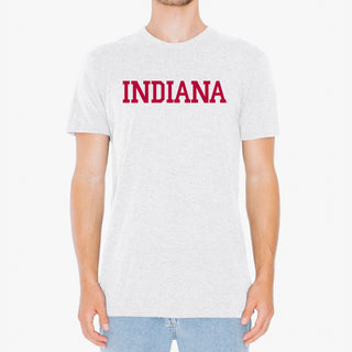 Indiana Univesity Hoosiers Next Level Basic Block Short Sleeve T-Shirt - Heather White