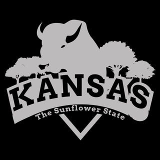 Kansas Buffalo Arch T-Shirt - Black