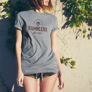 Loyola University Chicago Ramblers Established Arch Short Sleeve T Shirt - Sport Grey