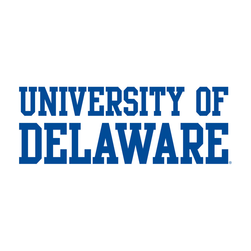 Delaware Blue Hens Basic Block T Shirt - White